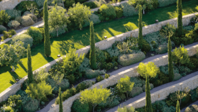 Transform Your Outdoors With These Landscaping Design Ideas