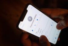 support hotline contact numbers