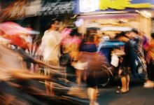 market dynamics analysis report