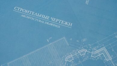 organic growth strategy blueprint