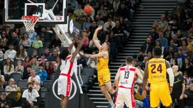 organic traffic search visibility