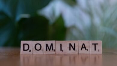 ranking mastery search authority