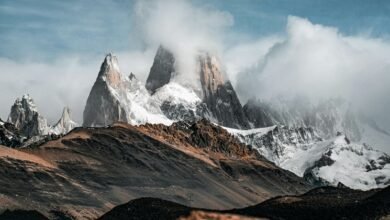 roi maximization paid advertising